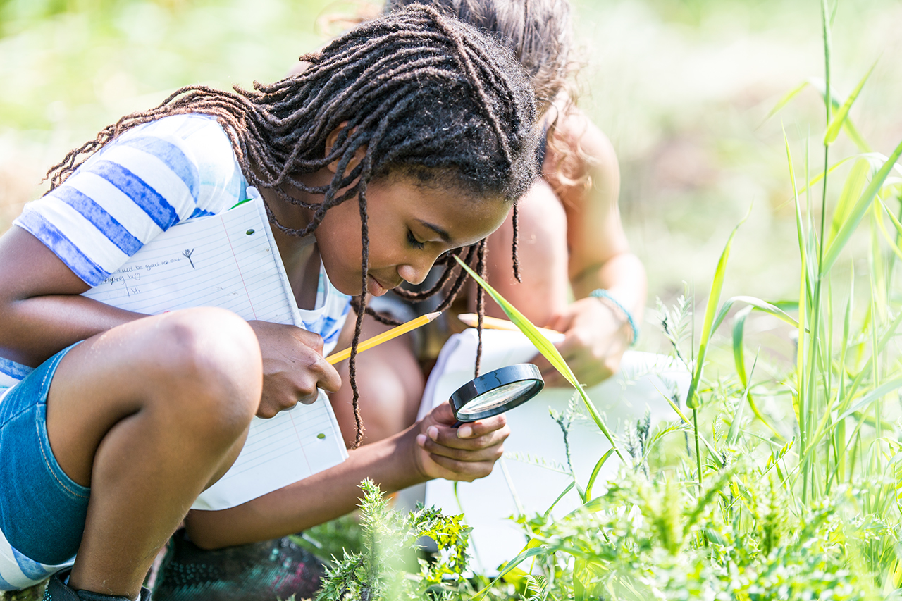 A child outdoors on a sunny day holding a notebook and a magnifying glass close to big blades of grass.